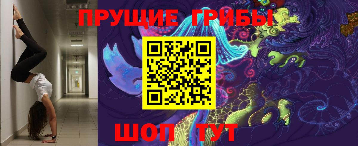 Бугуруслан  Галлюциногенные грибы прущие грибы  закладка  Вход с VPN 
